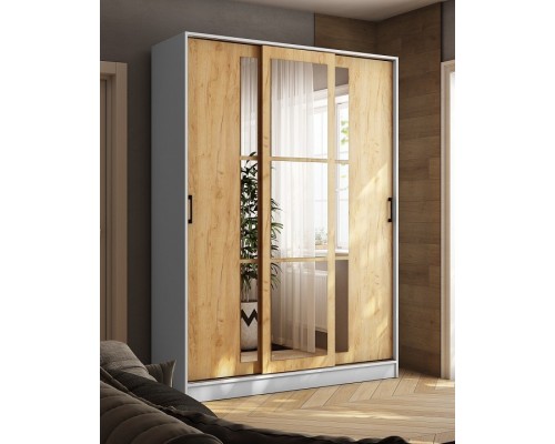 Шкаф-купе Стиль