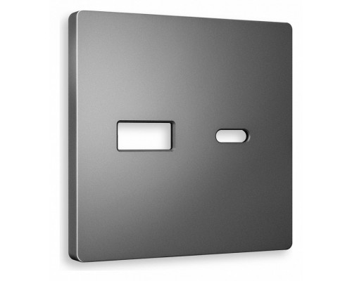 Накладка для розетки type A и C Ambrella Volt Quant AP6610 Накладка для розетки type A и C Ambrella Volt Quant AP6610
