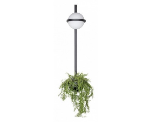 Бра Loft it Jardin 10121W/B Бра Loft it Jardin 10121W/B