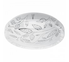 Накладной светильник Эра  SPB-6-24-4K Syuzi