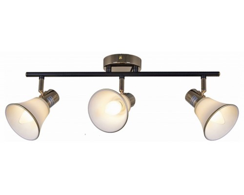 Люстра на штанге  05901-0.8-03 BK+FGD