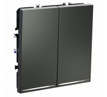 Выключатель двухклавишный с подсветкой без рамки Voltum S70 VLS020206