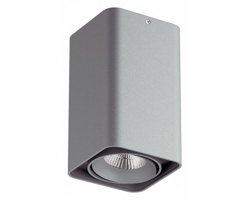 Накладной светильник Lightstar Monocco 052139-IP65 Накладной светильник Lightstar Monocco 052139-IP65