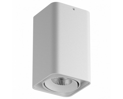 Накладной светильник Lightstar Monocco 052336-IP65 Накладной светильник Lightstar Monocco 052336-IP65
