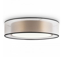 Накладной светильник Freya Zoticus FR6005CL-L36G