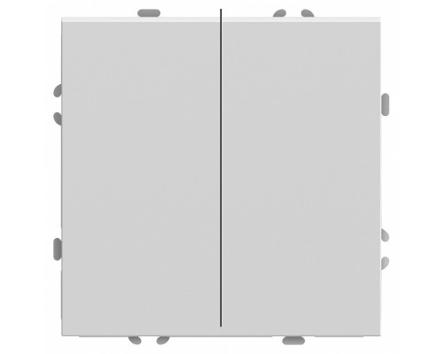 Выключатель двухклавишный без рамки Stekker RSW10-5104-01 49866 Выключатель двухклавишный без рамки Stekker RSW10-5104-01 49866