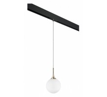 Подвесной светильник Lightstar Globo PRO813023