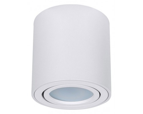 Накладной светильник Arte Lamp Beid A1513PL-1WH Накладной светильник Arte Lamp Beid A1513PL-1WH