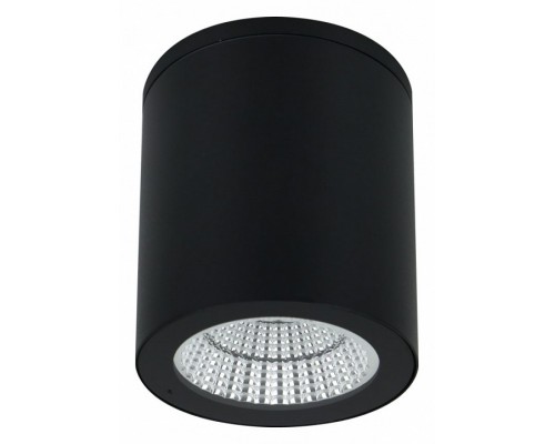 Накладной светильник Arte Lamp A1813 A1813PF-1BK Накладной светильник Arte Lamp A1813 A1813PF-1BK