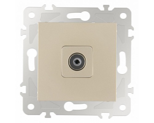 ТВ-розетка без рамки Arte Milano am-203 203.43-1.shampan ТВ-розетка без рамки Arte Milano am-203 203.43-1.shampan