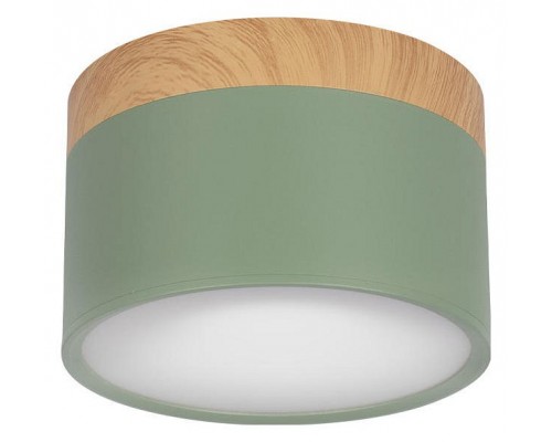 Накладной светильник Loft it Grape 10162 Green Накладной светильник Loft it Grape 10162 Green