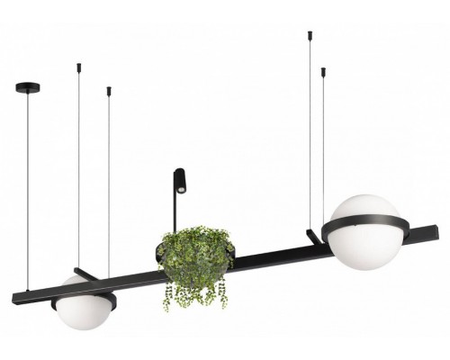 Подвесной светильник Loft it Jardin 10121/D Подвесной светильник Loft it Jardin 10121/D
