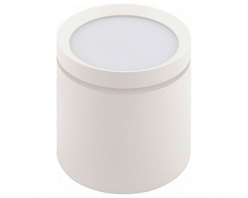 Накладной светильник Denkirs DK401 DK4016-WH Накладной светильник Denkirs DK401 DK4016-WH