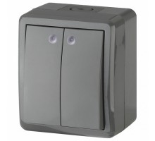 Выключатель двухклавишный с подсветкой Эра Эра Эксперт 11-1405-03