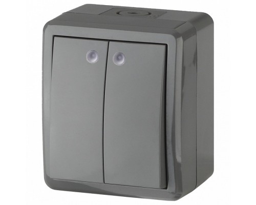 Выключатель двухклавишный с подсветкой Эра Эра Эксперт 11-1405-03