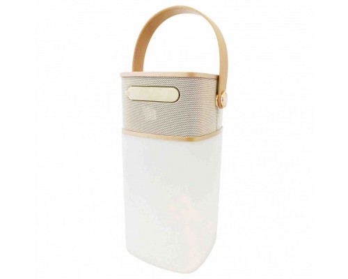 Фонарь кемпинговый Apeyron Electrics  11-104