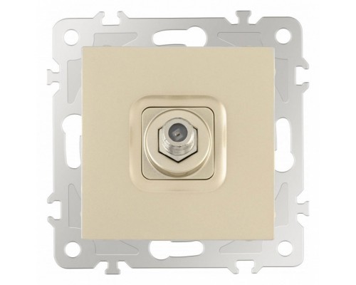 ТВ-розетка без рамки Arte Milano am-206 206.42-1.shampan ТВ-розетка без рамки Arte Milano am-206 206.42-1.shampan