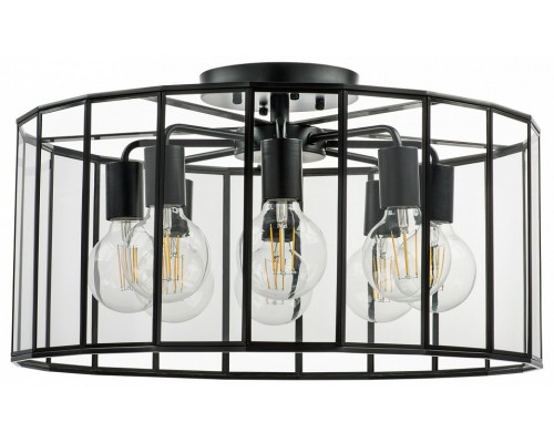 Светильник на штанге Lightstar Genni 798287 Светильник на штанге Lightstar Genni 798287