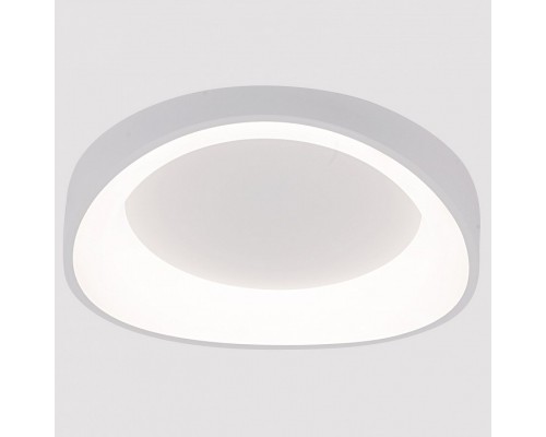 Накладной светильник Arte Lamp None A2698PL-48WH