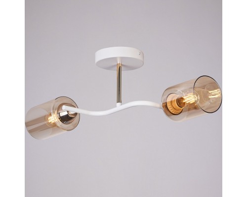 Светильник на штанге ILLUMICO Bice IL8148-2COU-79 WH GD Bice