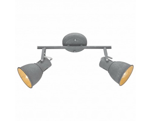 Спот Arte Lamp 1677 A1677PL-2GY Спот Arte Lamp 1677 A1677PL-2GY