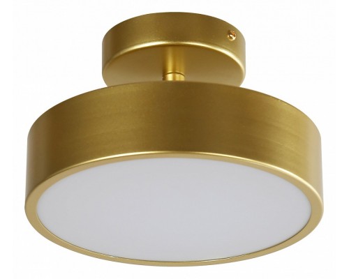 Светильник на штанге F-promo Atma 3059-2P Светильник на штанге F-promo Atma 3059-2P