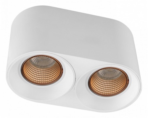 Накладной светильник Denkirs DK3040 DK3096-WH+BR Накладной светильник Denkirs DK3040 DK3096-WH+BR