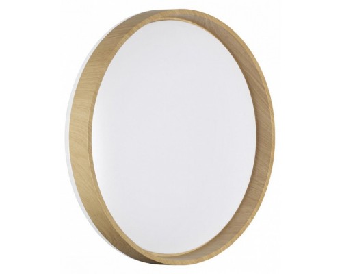 Накладной светильник Sonex BASICA 7684/ELN