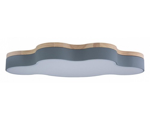 Накладной светильник Loft it Axel 4 10005/36 Grey Накладной светильник Loft it Axel 4 10005/36 Grey