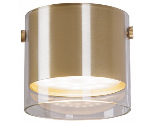 Накладной светильник Arte Lamp Lazio A5366PL-1SG