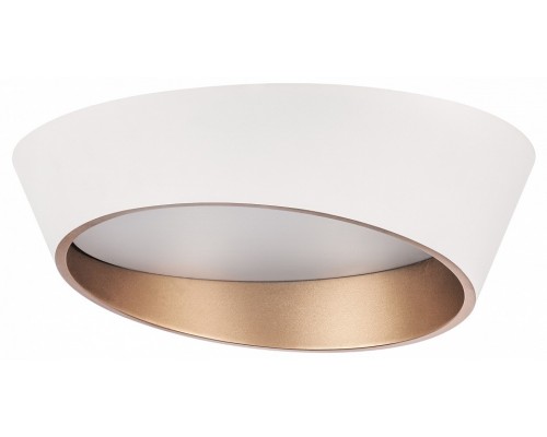Накладной светильник Lightstar Celesta 809456 Накладной светильник Lightstar Celesta 809456