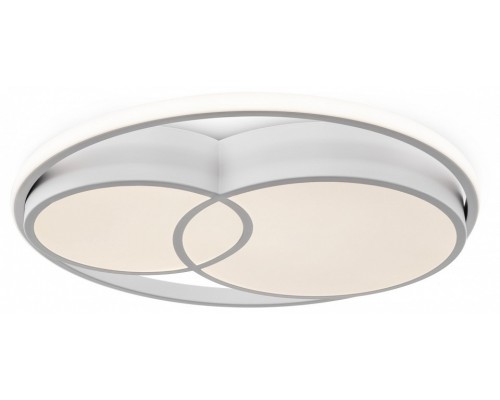 Накладной светильник Freya  FR10029CL-L70W