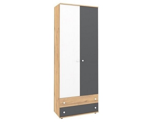 Шкаф платяной Лойс