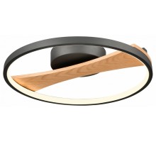 Накладной светильник Velante  450-047-01