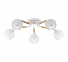 Потолочная люстра Citilux Tika 