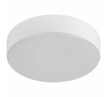 Накладной светильник Эра Relict Relict 22 SPB-6-20 4К WH