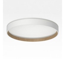 Накладной светильник Citilux ETALON 