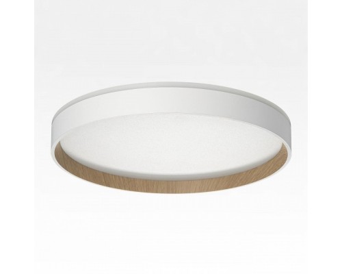 Накладной светильник Citilux ETALON 