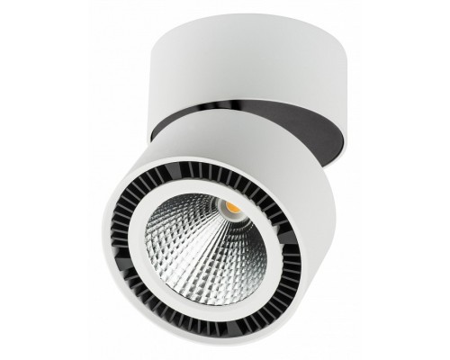 Светильник на штанге Lightstar Forte Muro LED 213830 Светильник на штанге Lightstar Forte Muro LED 213830