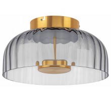 Накладной светильник Lightstar Celesta 809061