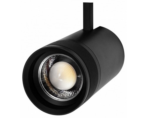 Светильник на штанге Lightstar Canno Pro 304407