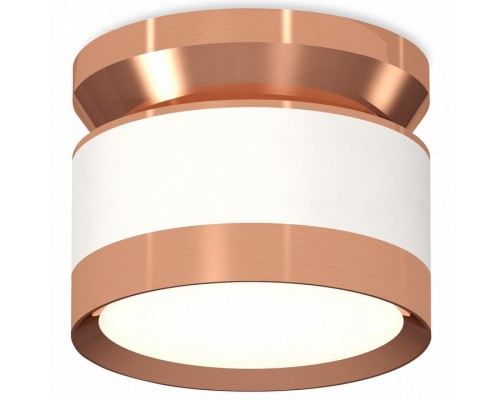Накладной светильник Ambrella Light XS XS8101065 Накладной светильник Ambrella Light XS XS8101065