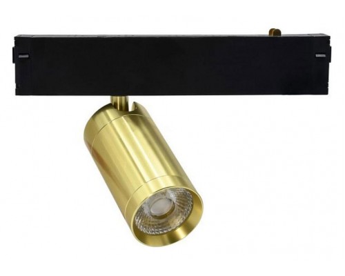 Светильник на штанге Aployt Magnetic track 220 APL.0205.10.09 Светильник на штанге Aployt Magnetic track 220 APL.0205.10.09