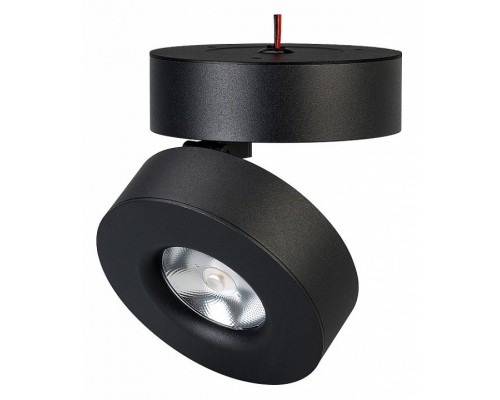 Светильник на штанге Arlight MONA 025442(1) Светильник на штанге Arlight MONA 025442(1)