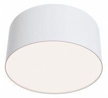 Накладной светильник Maytoni Zon C032CL-L12W4K
