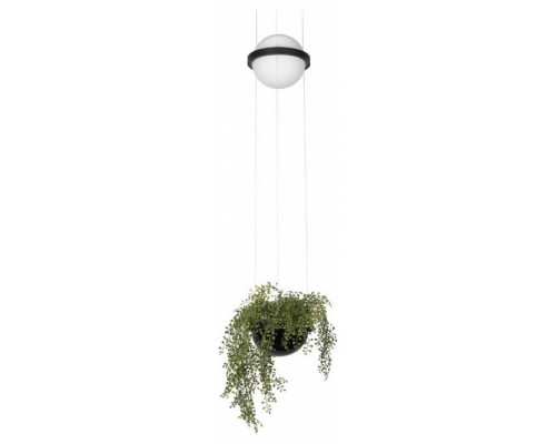 Подвесной светильник Loft it Jardin 10121/B Подвесной светильник Loft it Jardin 10121/B