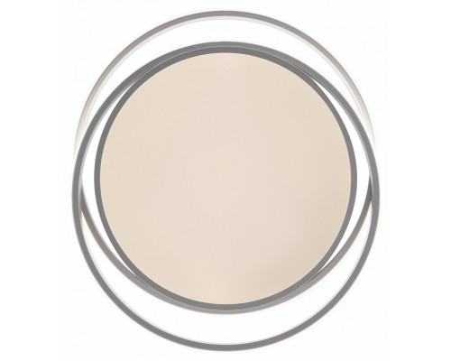 Накладной светильник Freya  FR10031CL-L98W