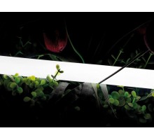 Лента светодиодная SWG PRO  00-00013283