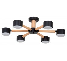 Потолочная люстра Arte Lamp TENDA A1624PL-6BK