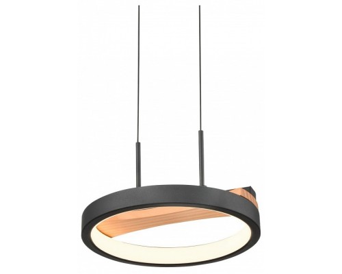 Подвесной светильник Velante  450-023-01